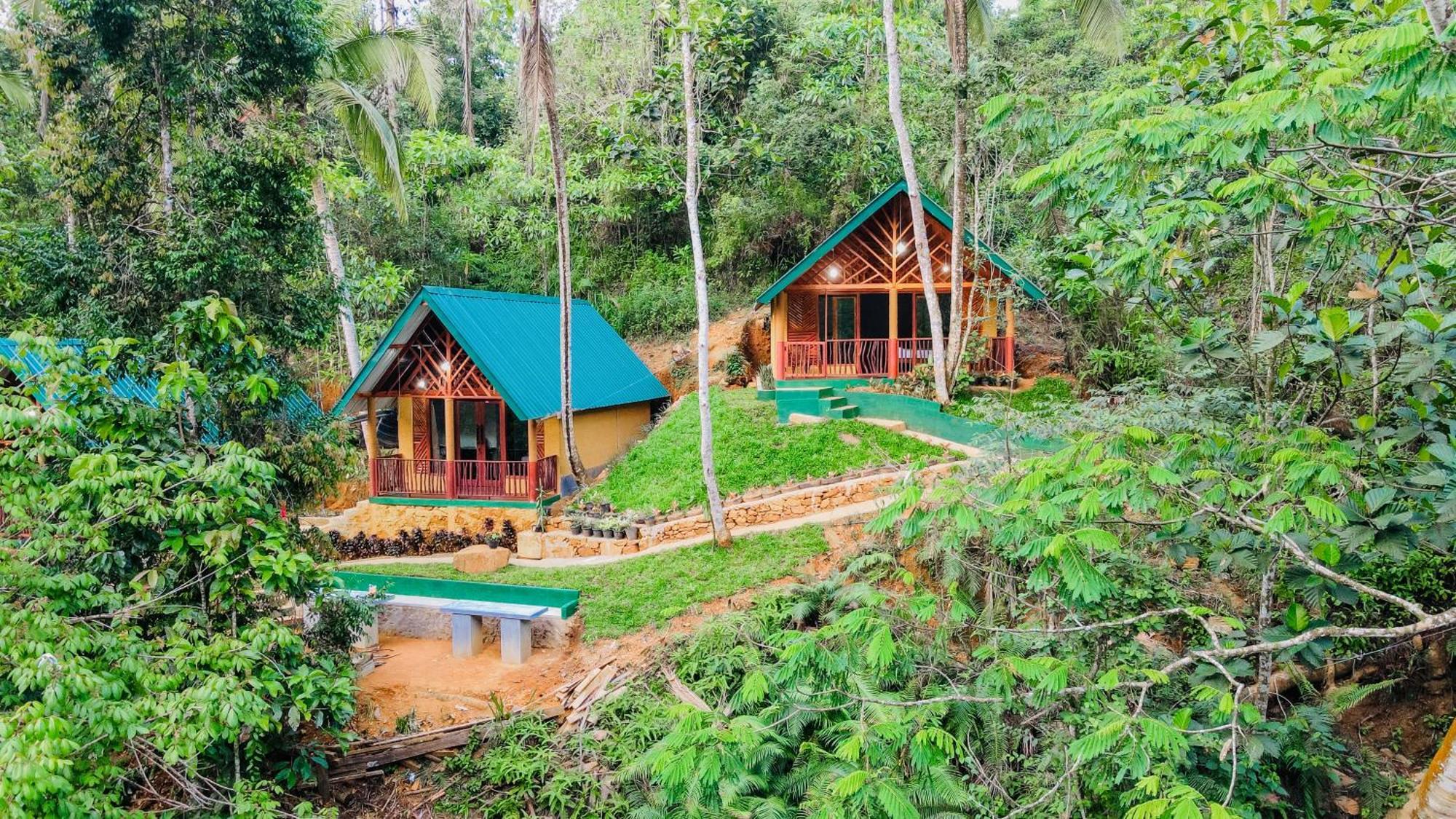 The Rainforest Hideaway Deniyaya Exterior photo