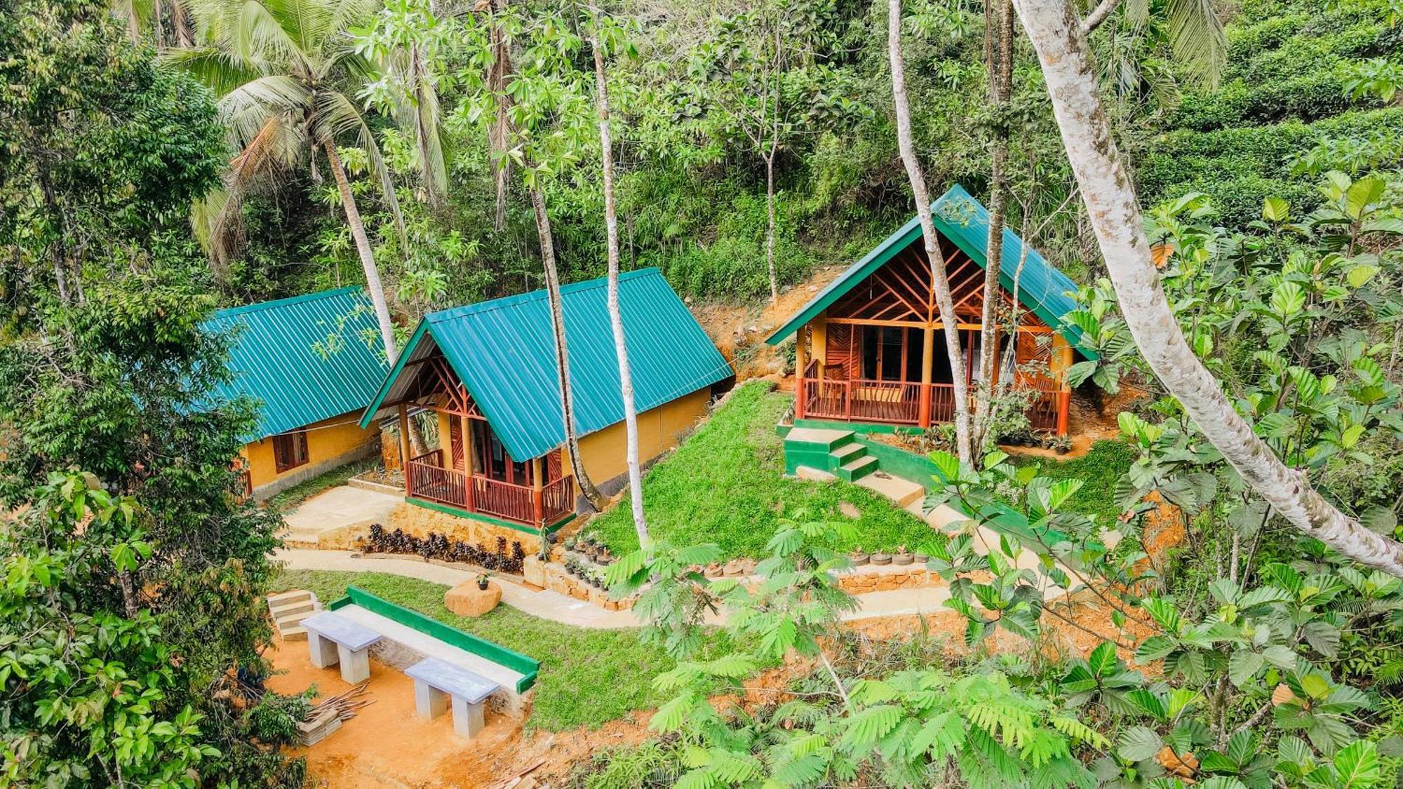 The Rainforest Hideaway Deniyaya Exterior photo