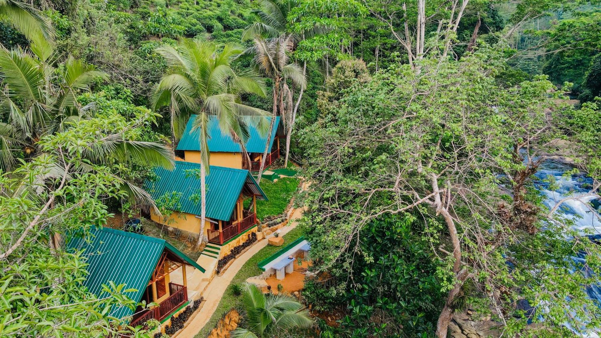 The Rainforest Hideaway Deniyaya Exterior photo