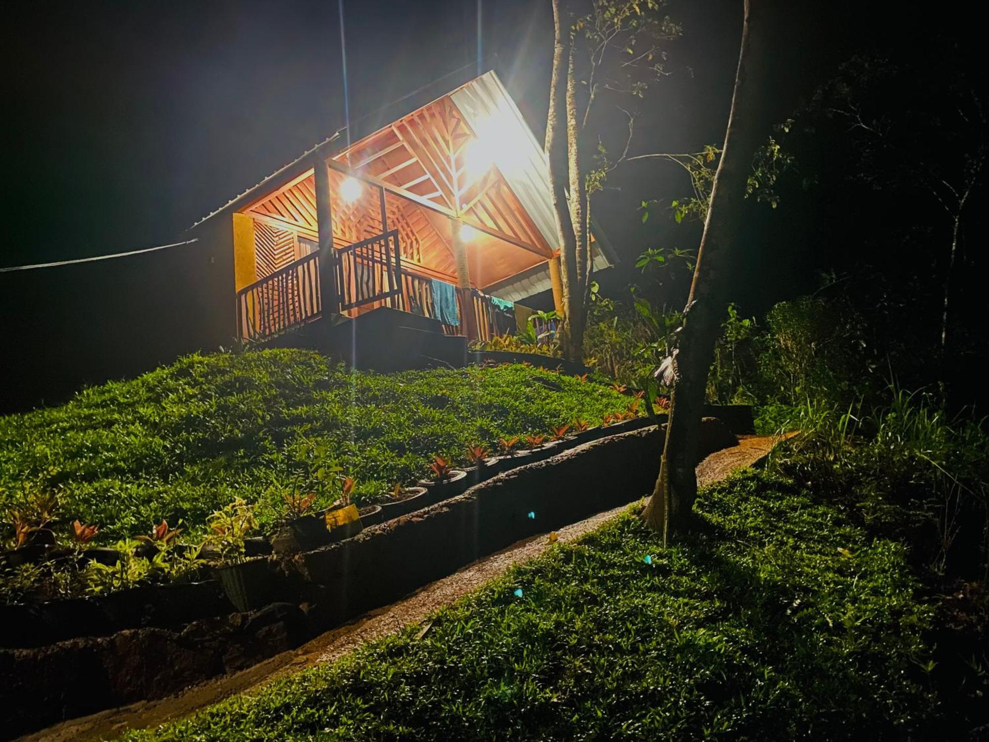 The Rainforest Hideaway Deniyaya Exterior photo