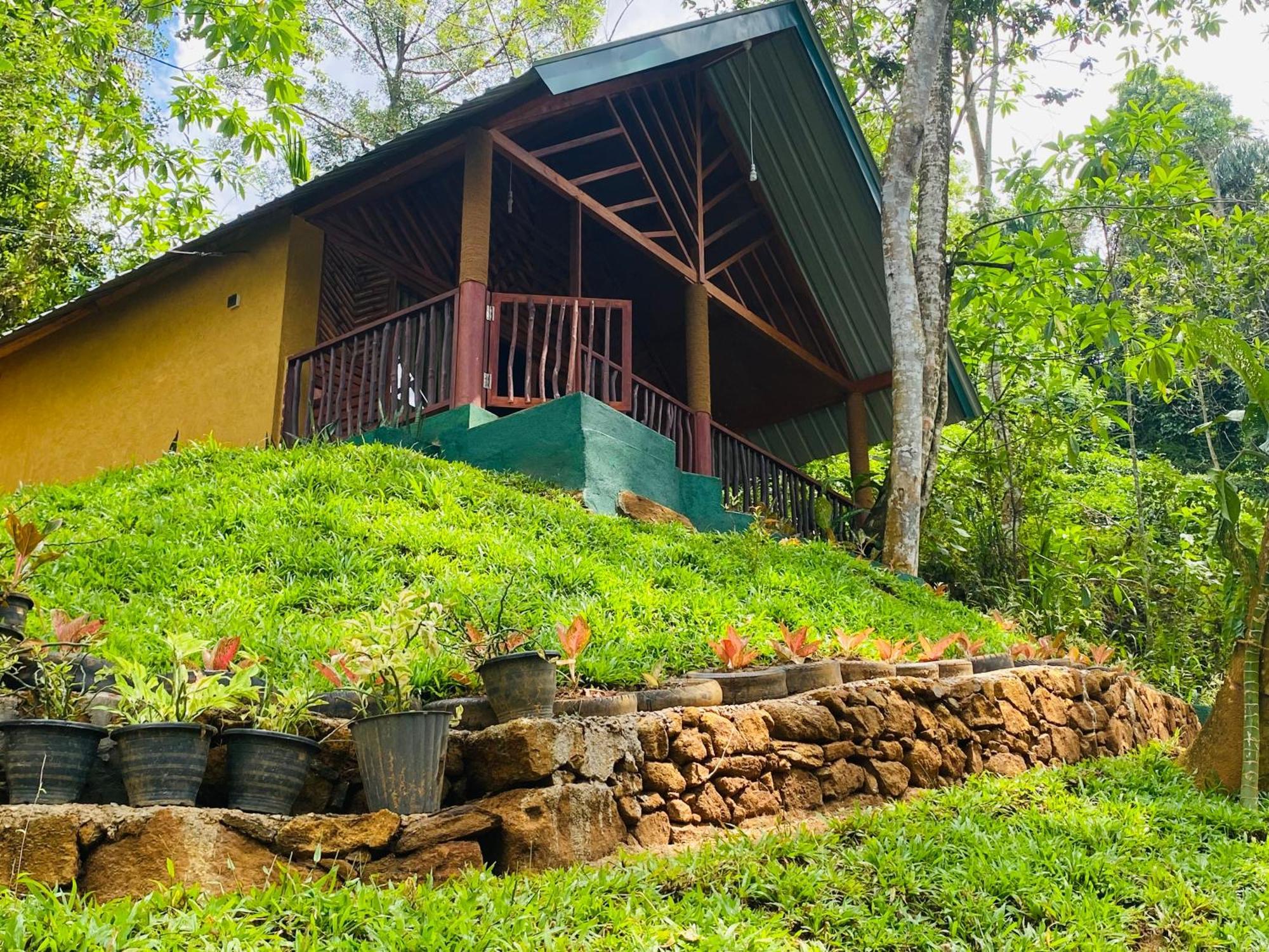 The Rainforest Hideaway Deniyaya Exterior photo