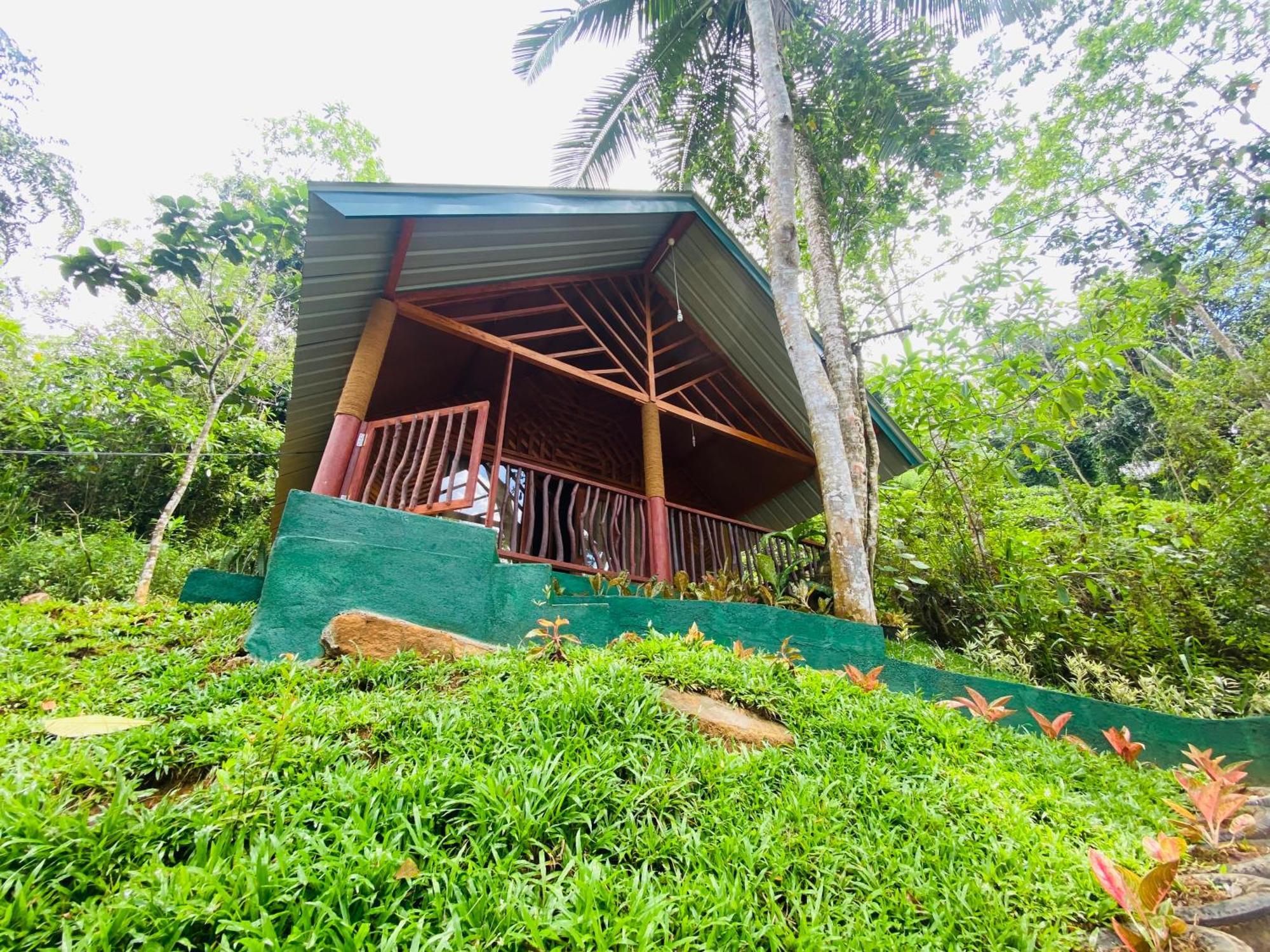 The Rainforest Hideaway Deniyaya Exterior photo