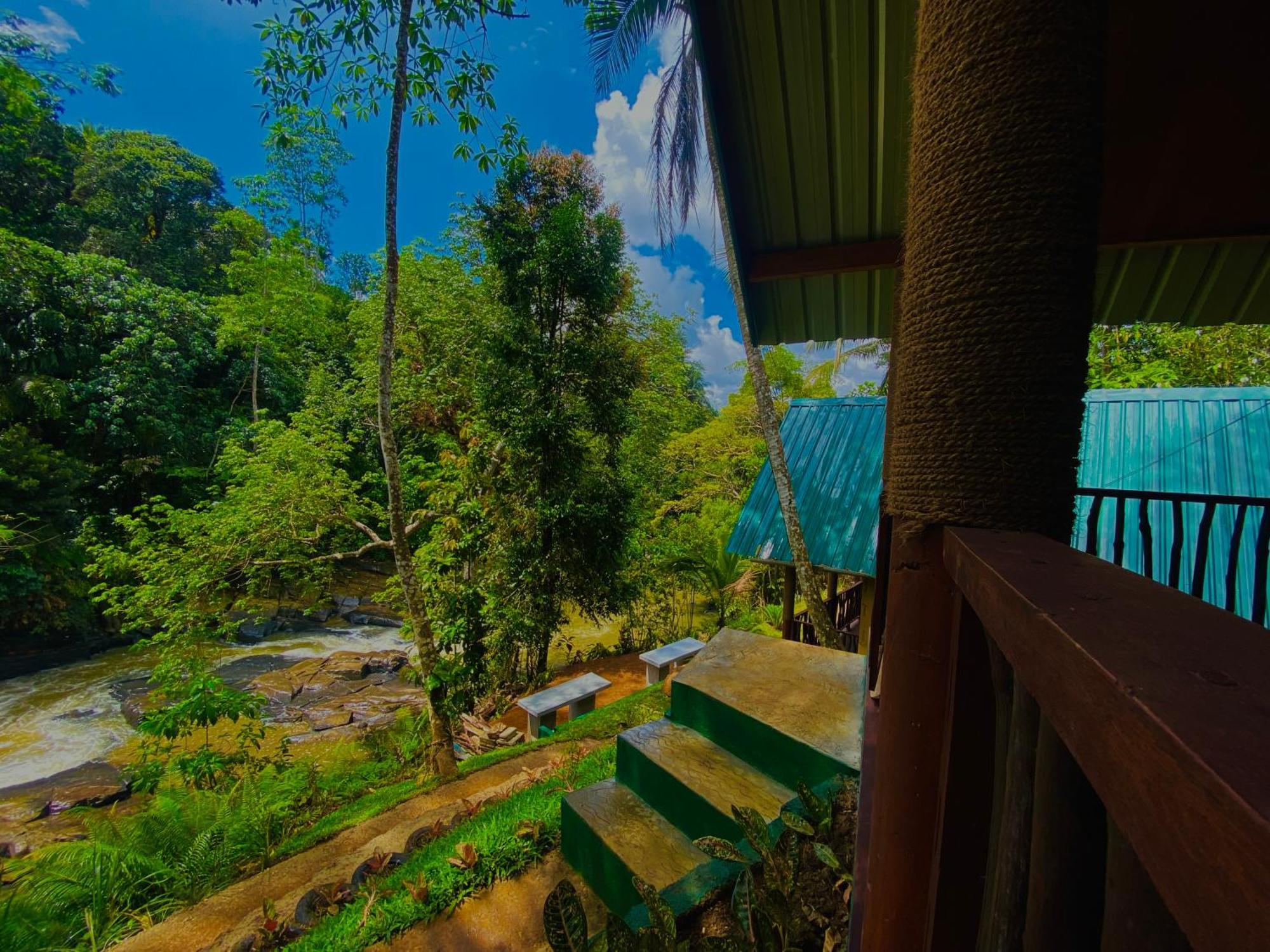 The Rainforest Hideaway Deniyaya Exterior photo
