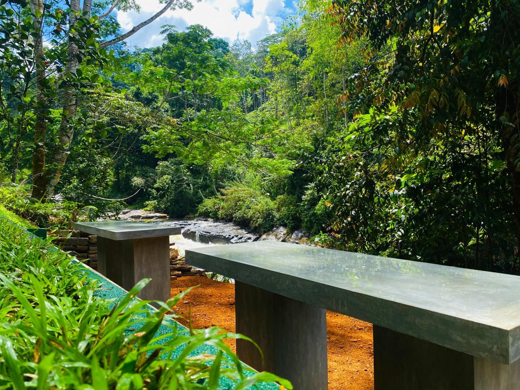 The Rainforest Hideaway Deniyaya Exterior photo