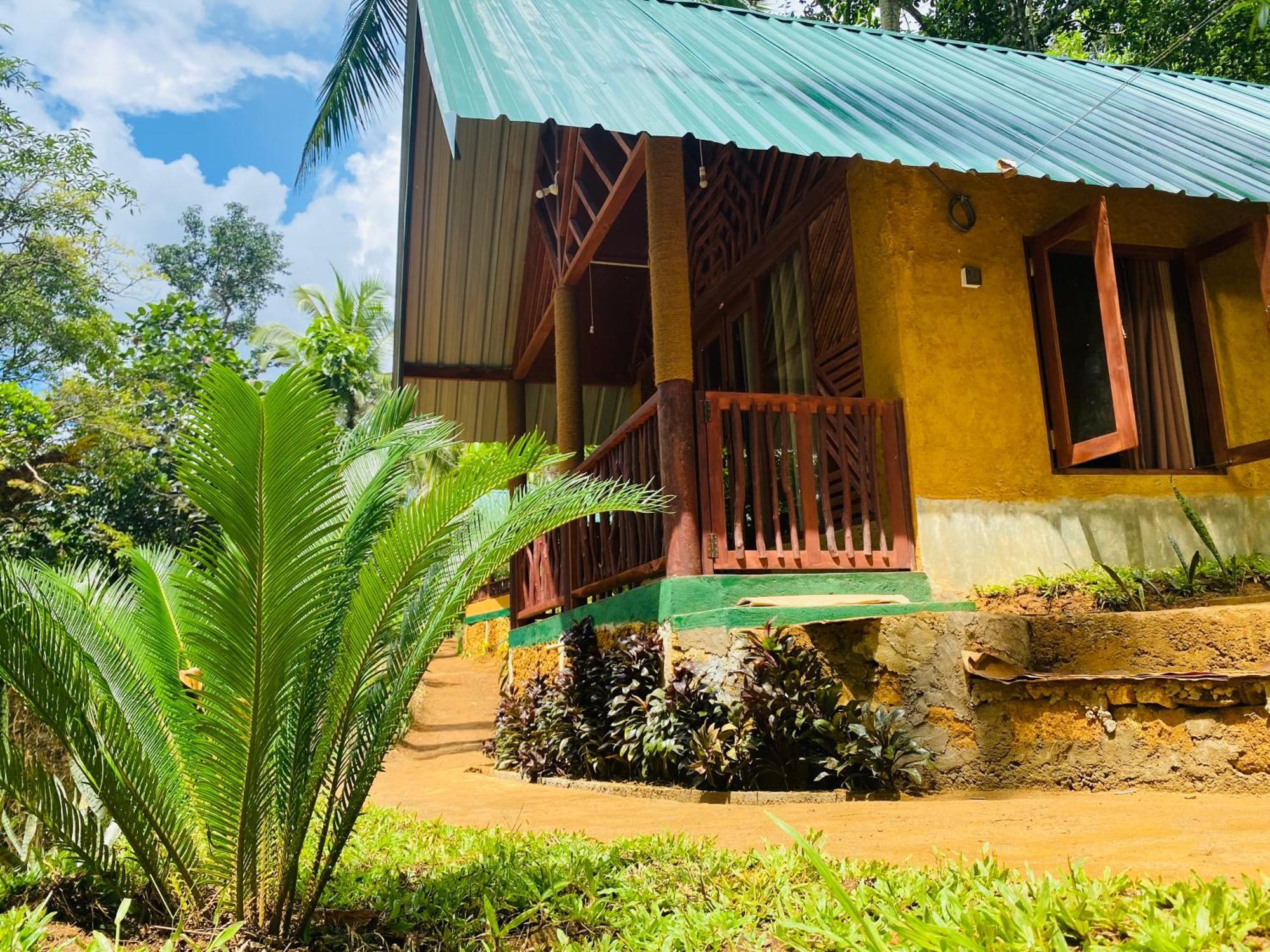The Rainforest Hideaway Deniyaya Exterior photo